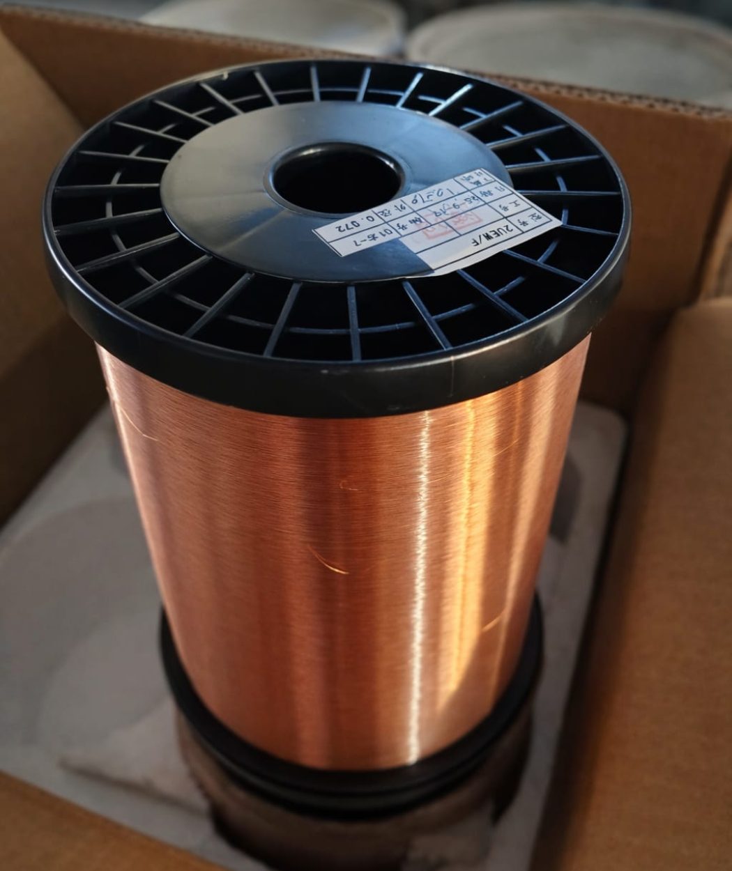 whatsapp image 2026 04 01 at 9.10.51 pm